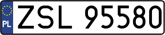 ZSL95580