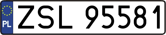 ZSL95581