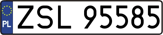 ZSL95585