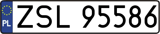ZSL95586
