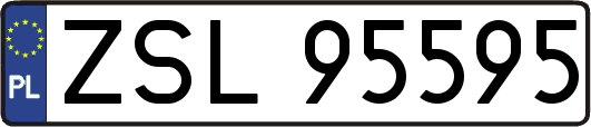 ZSL95595