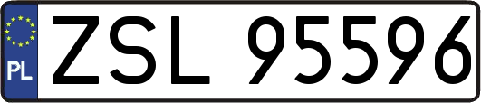 ZSL95596