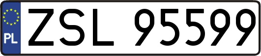 ZSL95599