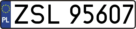 ZSL95607
