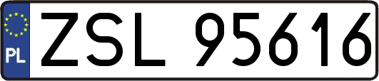 ZSL95616