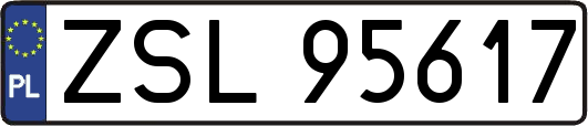 ZSL95617