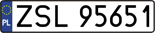 ZSL95651