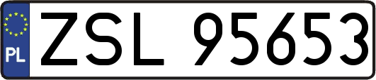 ZSL95653