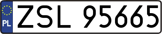 ZSL95665