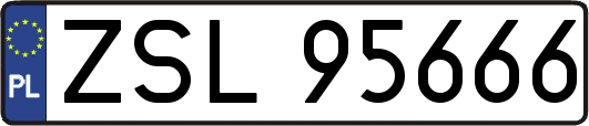 ZSL95666