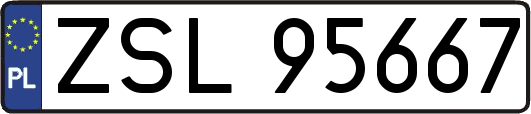 ZSL95667