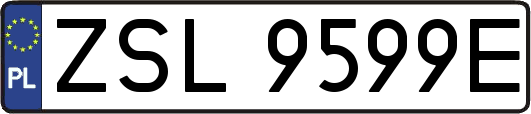 ZSL9599E