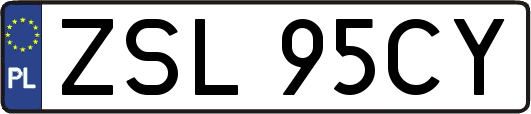 ZSL95CY