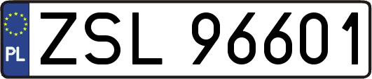 ZSL96601