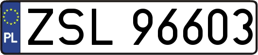 ZSL96603