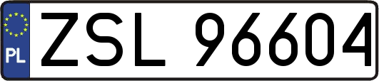 ZSL96604