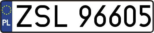 ZSL96605