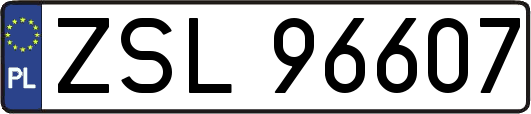ZSL96607