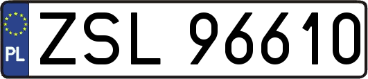 ZSL96610