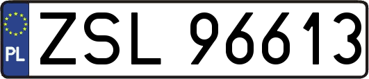 ZSL96613