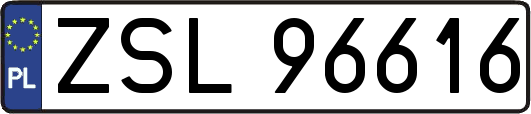 ZSL96616