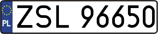 ZSL96650