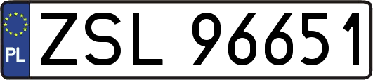 ZSL96651