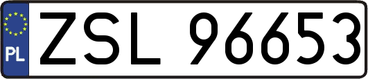 ZSL96653
