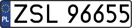 ZSL96655