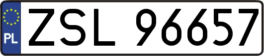 ZSL96657