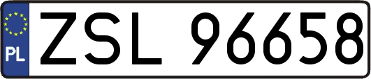 ZSL96658