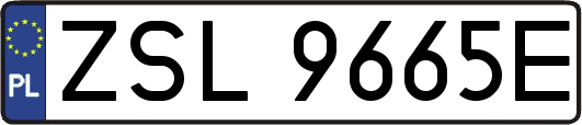 ZSL9665E