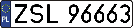 ZSL96663