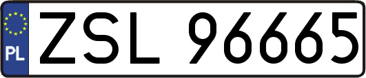 ZSL96665