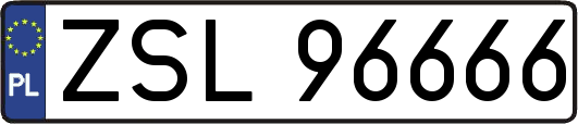 ZSL96666