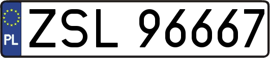ZSL96667