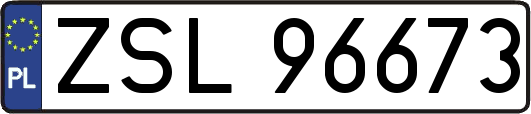 ZSL96673