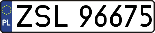 ZSL96675