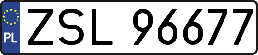 ZSL96677