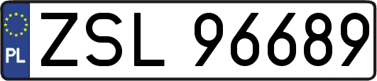 ZSL96689