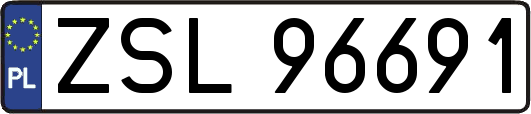 ZSL96691