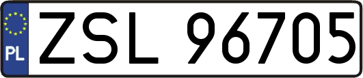 ZSL96705