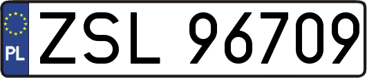 ZSL96709