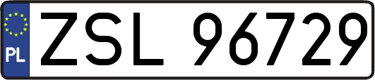 ZSL96729