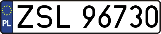 ZSL96730