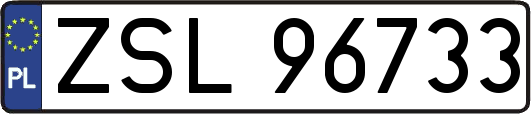 ZSL96733