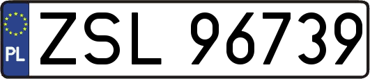 ZSL96739