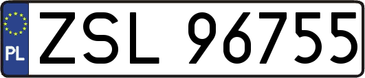 ZSL96755