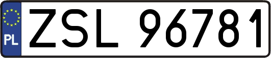 ZSL96781