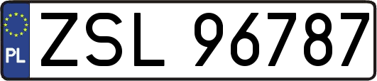 ZSL96787